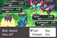 Double Battle gameplay in Pokémon Odyssey